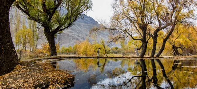 Shigar